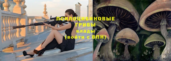 прущая мука Абаза