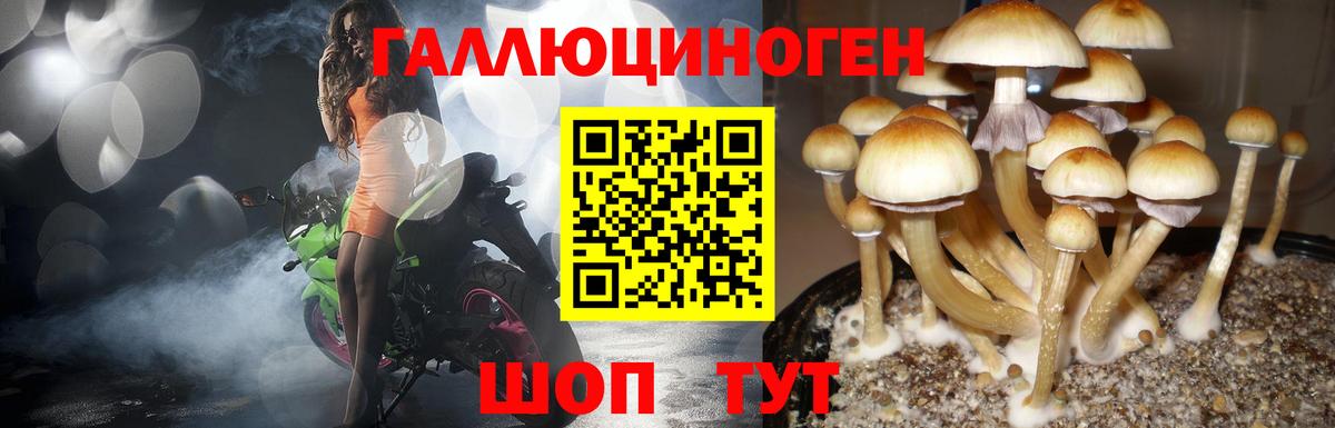 Нижнекамск  Галлюциногенные грибы прущие грибы  как найти   Вход с VPN  Галлюциногенные грибы MAGIC MUSHROOMS 