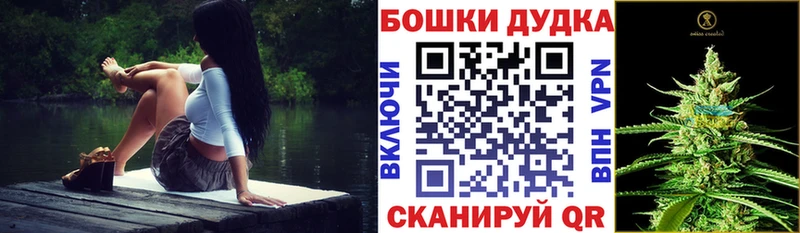 Шишки марихуана планчик  Нижнекамск 